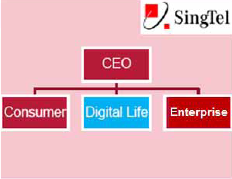 Singtel Digital Life - Core Business